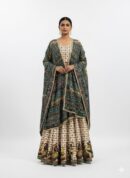 Aureza Heritage Festive Lehenga Set